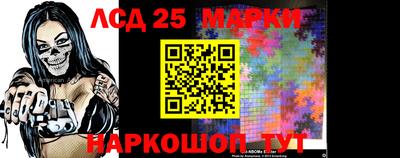 шишки Сланцы