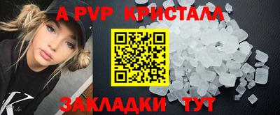 шишки Сланцы