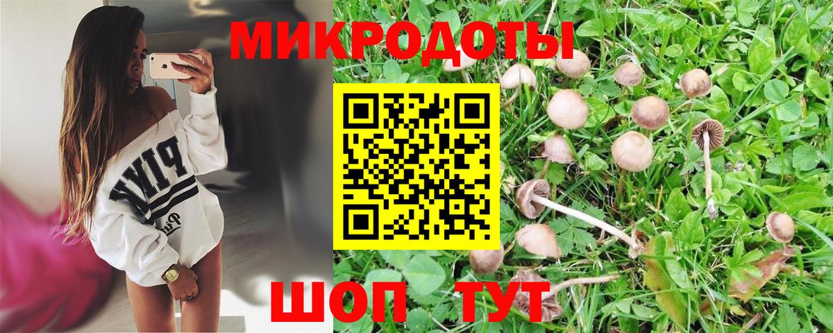 Нижний Тагил  Псилоцибиновые грибы GOLDEN TEACHER  Псилоцибиновые грибы GOLDEN TEACHER  Вход с VPN 
